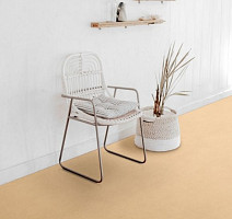 IVC Centra SEDNA T36 фото 3 | FLOORDEALER